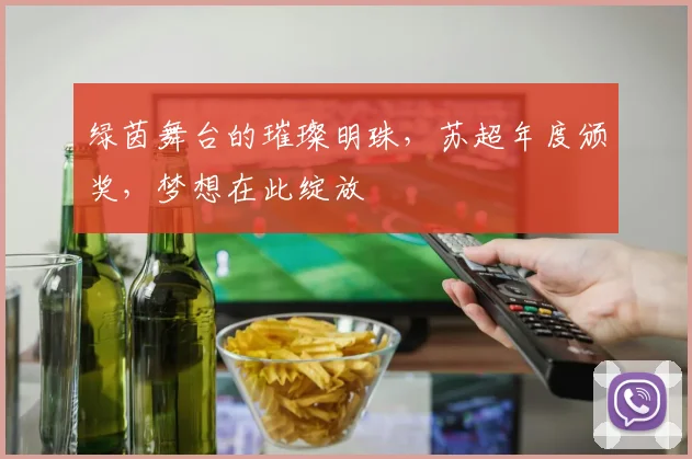 绿茵舞台的璀璨明珠，苏超年度颁奖，梦想在此绽放