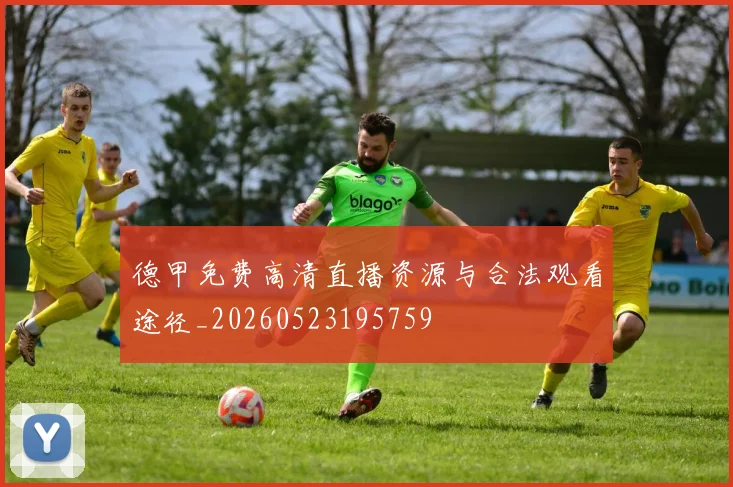 德甲免费高清直播资源与合法观看途径_20260523195759