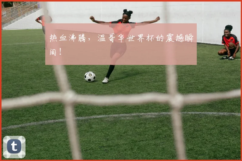 热血沸腾,温哥华世界杯的震撼瞬间!