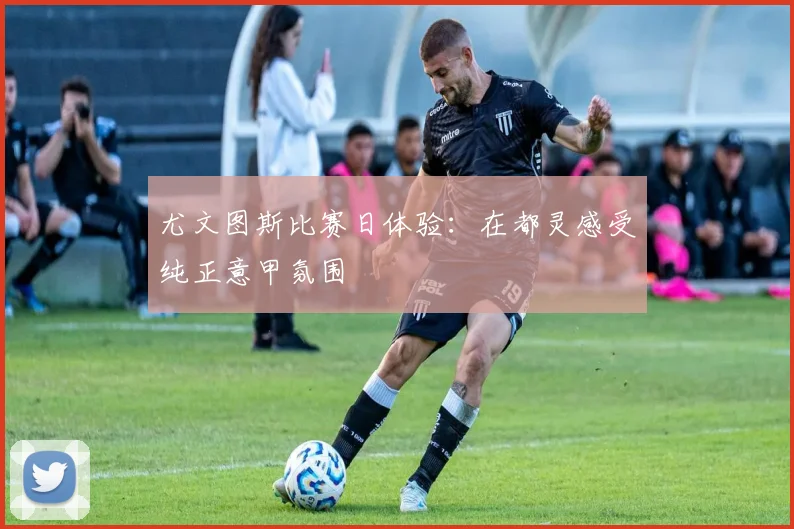 尤文图斯比赛日体验:在都灵感受纯正意甲氛围