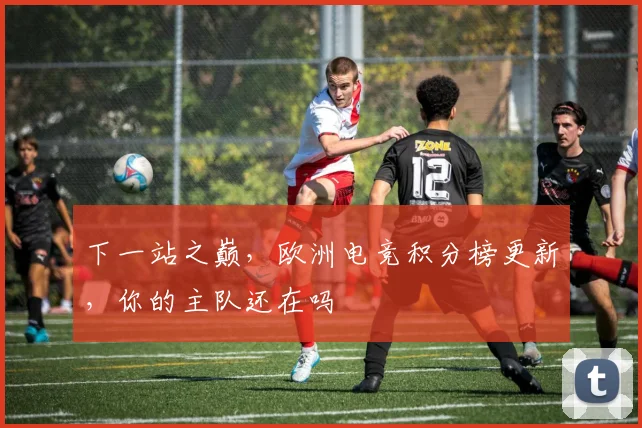 下一站之巅,欧洲电竞积分榜更新,你的主队还在吗